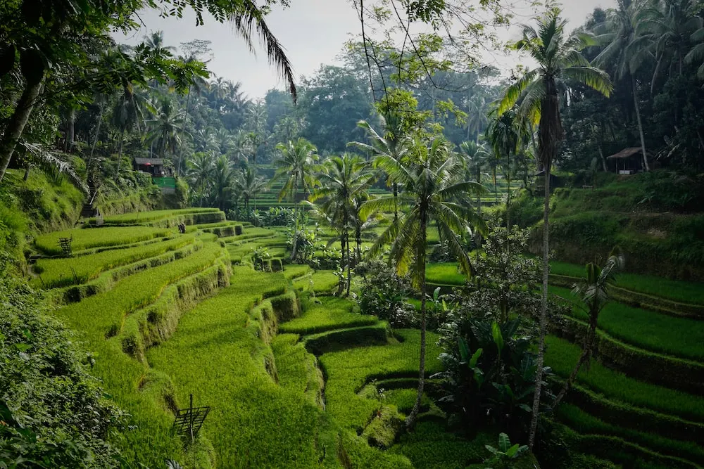 Mennyire biztonsagos bali?
