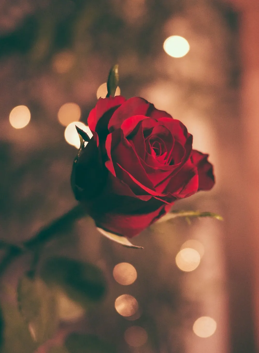 Miért társul Ámor a Valentin-naphoz?